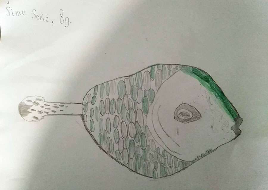 INDIVIDUALNI RADOVI