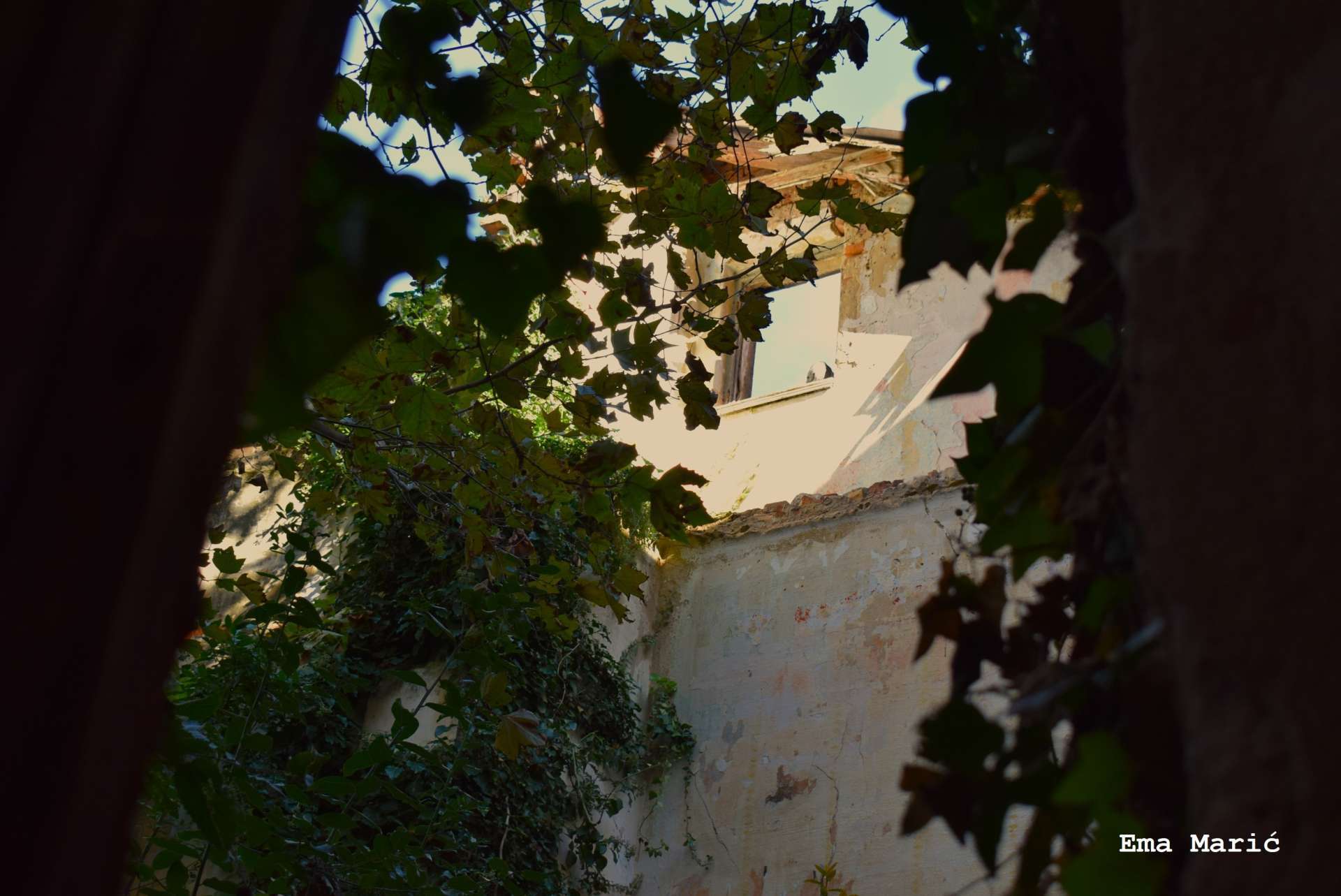 Photo exhibition "Looking into the window - looking into the past"