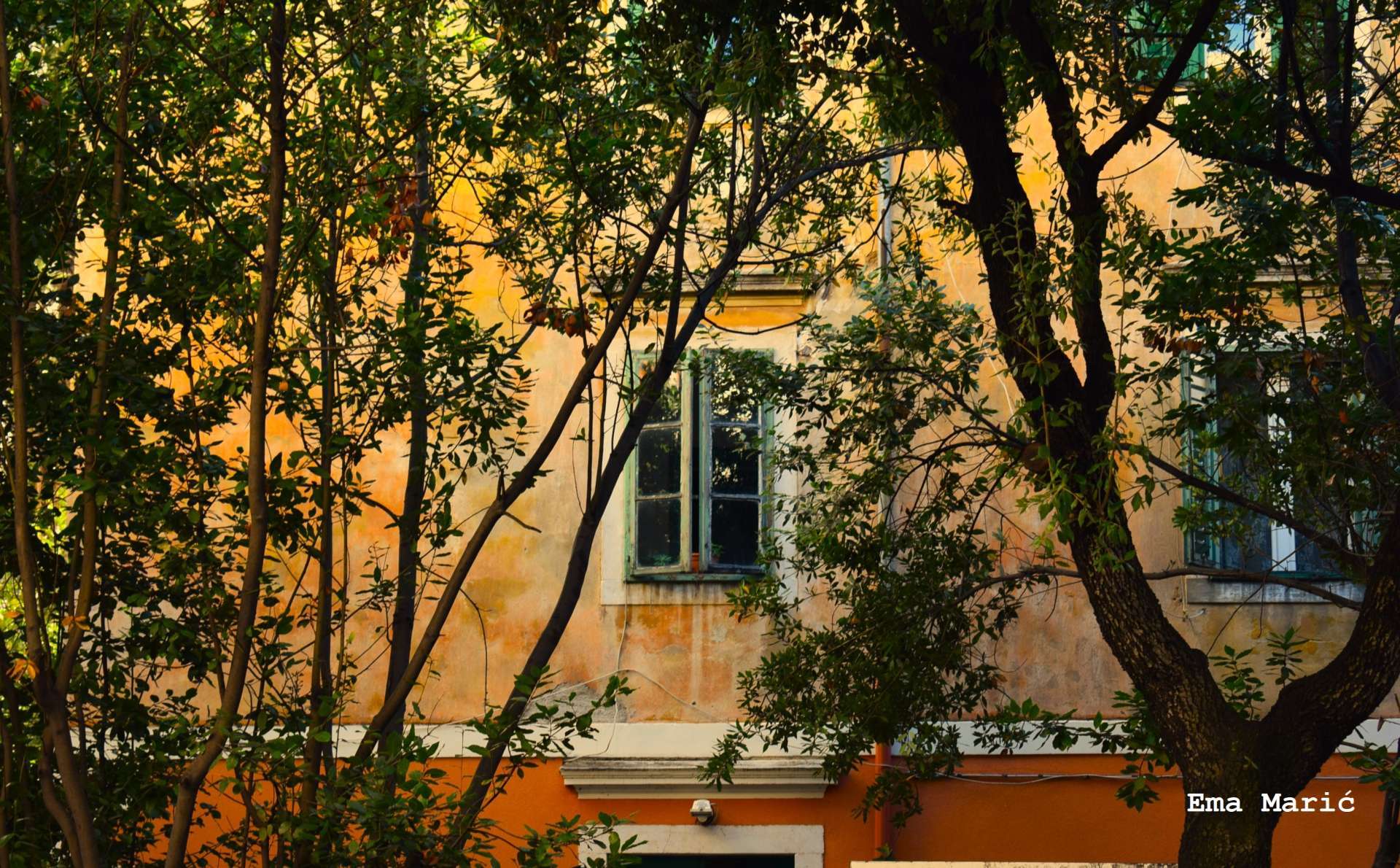 Photo exhibition "Looking into the window - looking into the past"