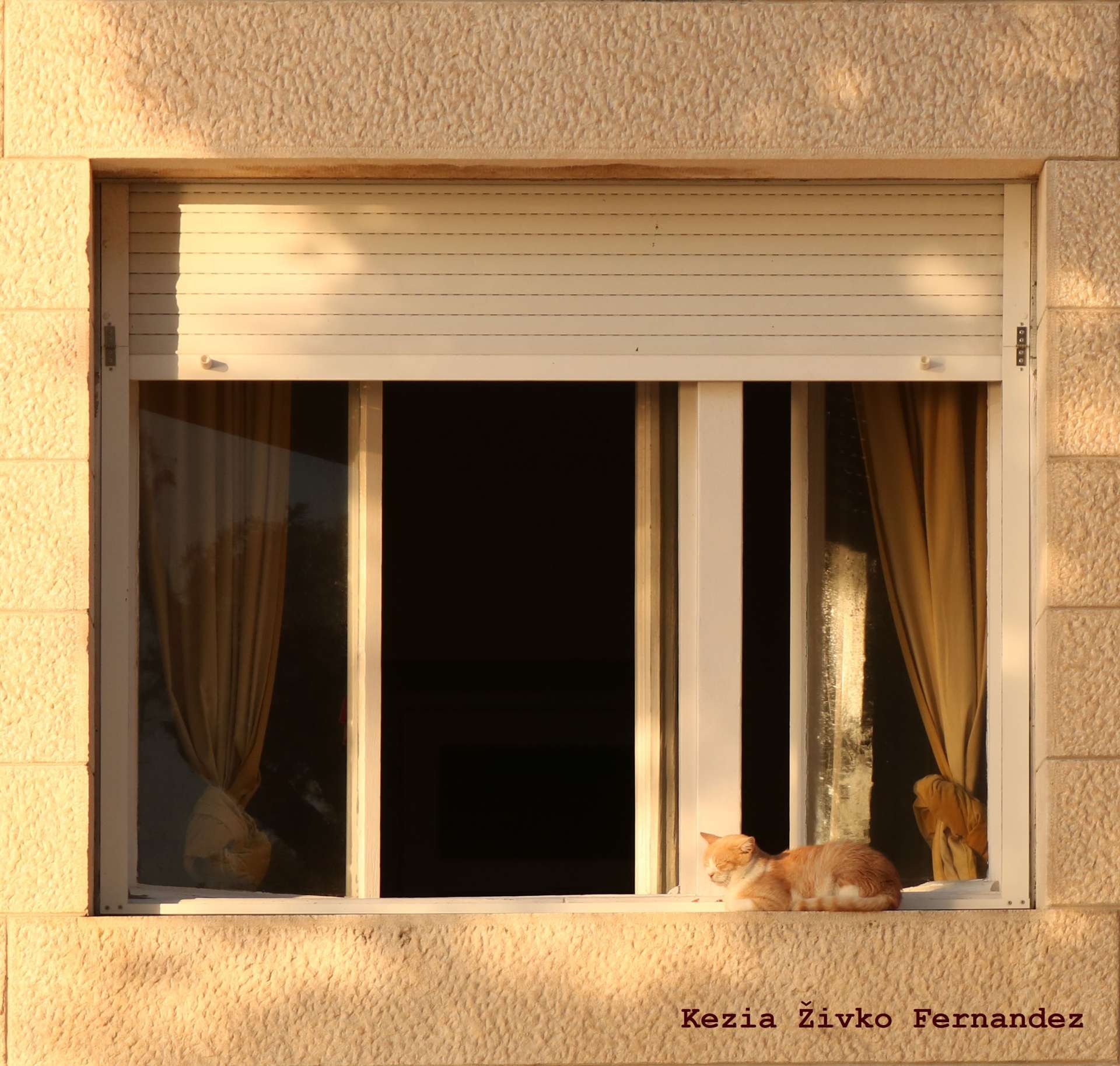Photo exhibition "Looking into the window - looking into the past"