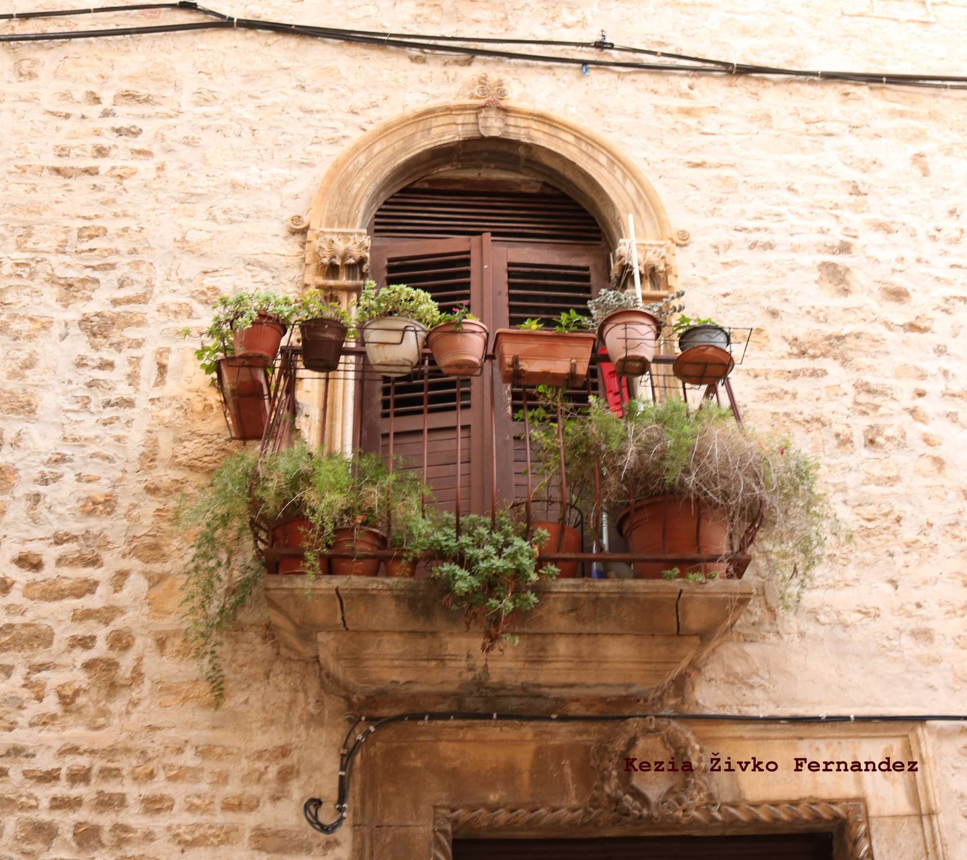 Photo exhibition "Looking into the window - looking into the past"