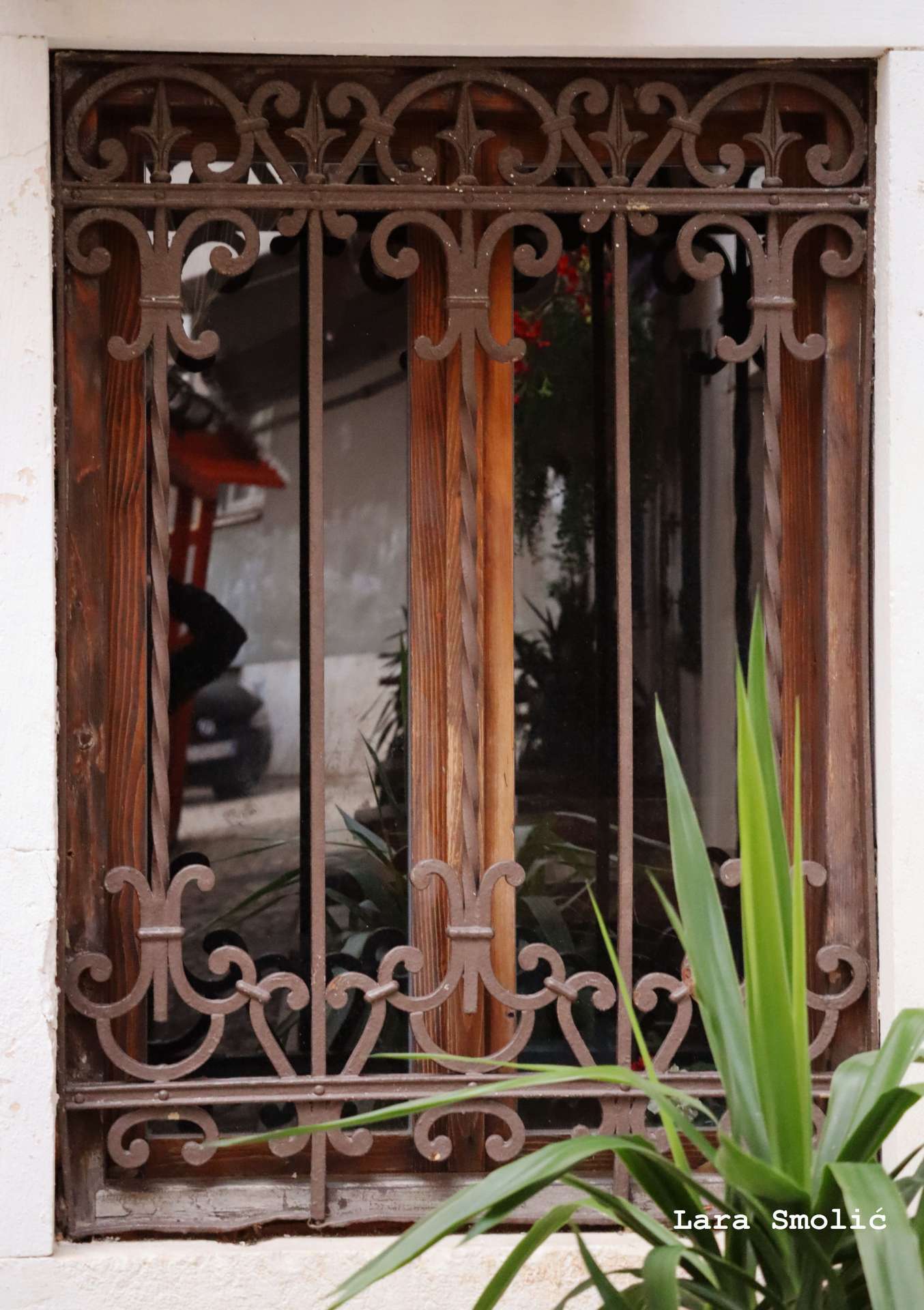 Photo exhibition "Looking into the window - looking into the past"
