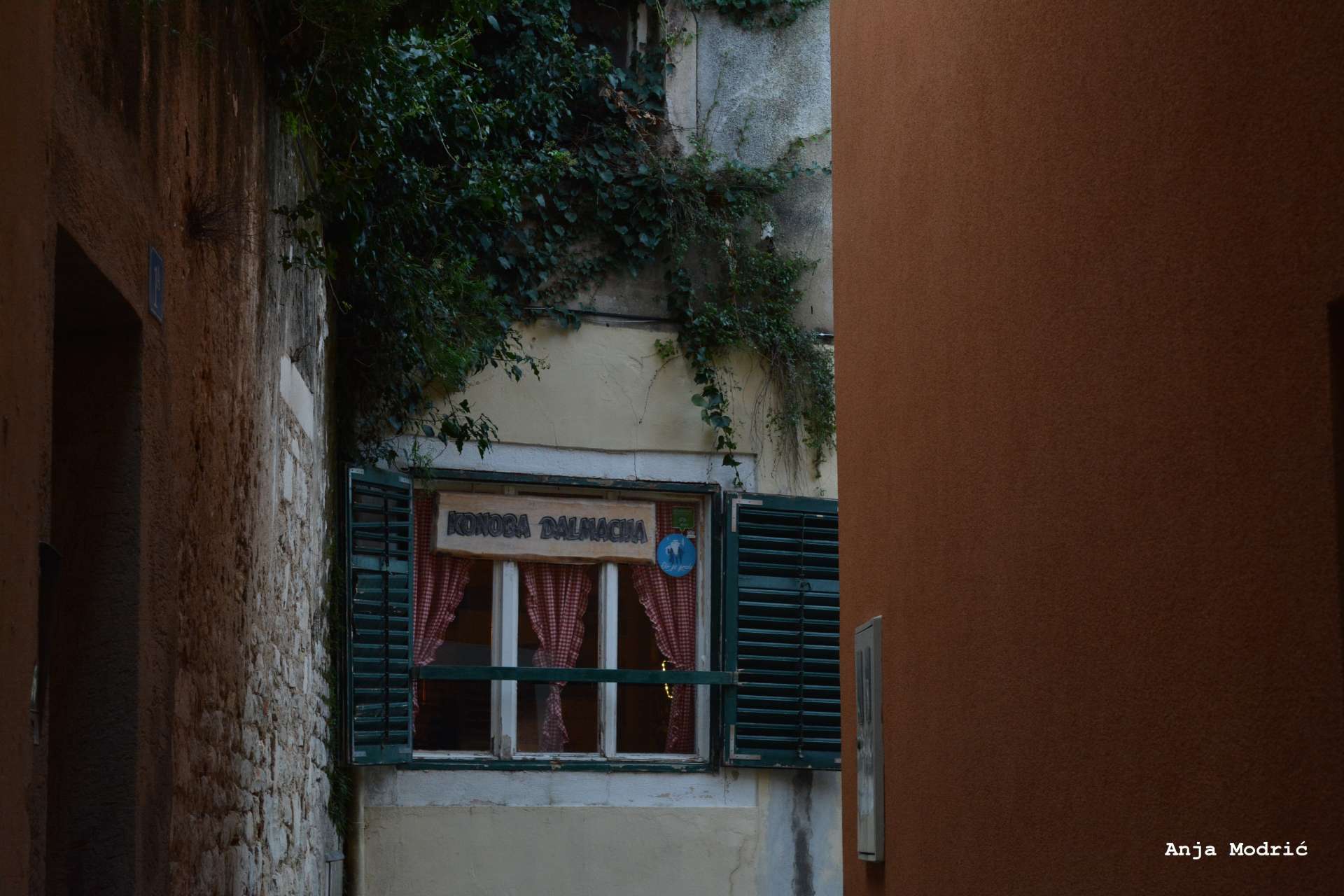 Photo exhibition "Looking into the window - looking into the past"