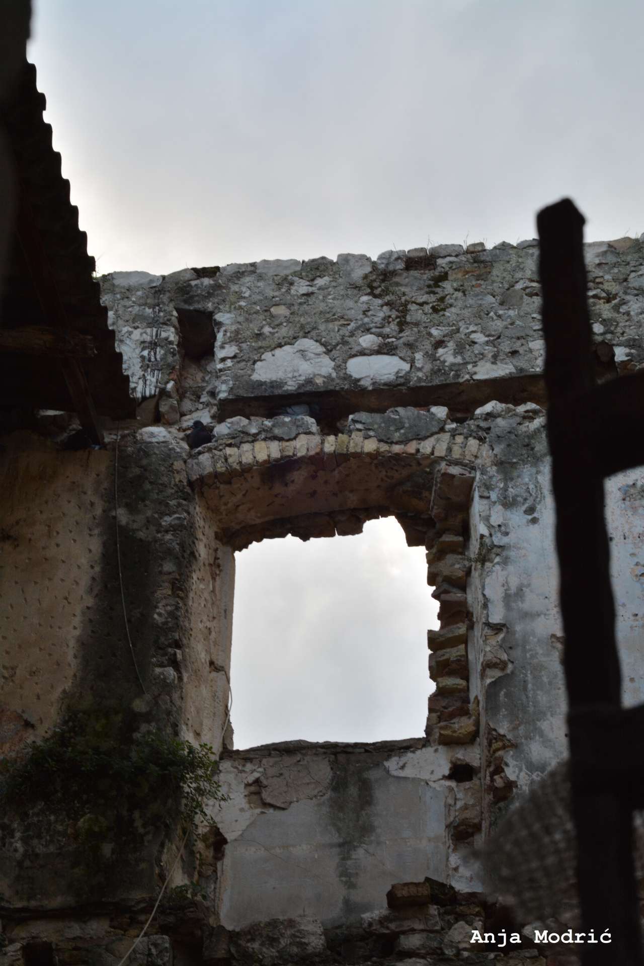 Photo exhibition "Looking into the window - looking into the past"
